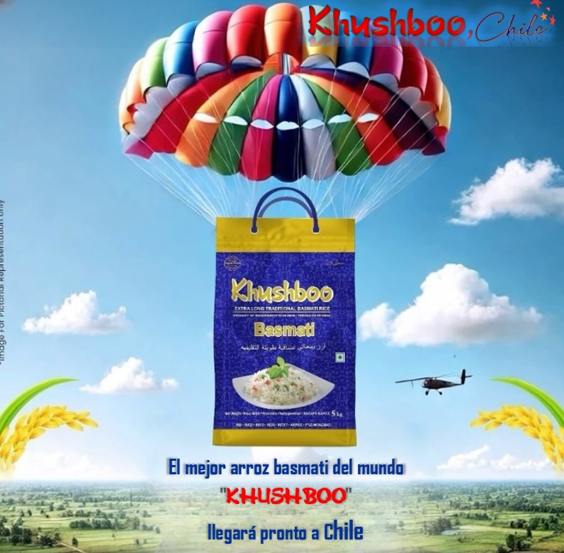 Khushboo Instagram 4